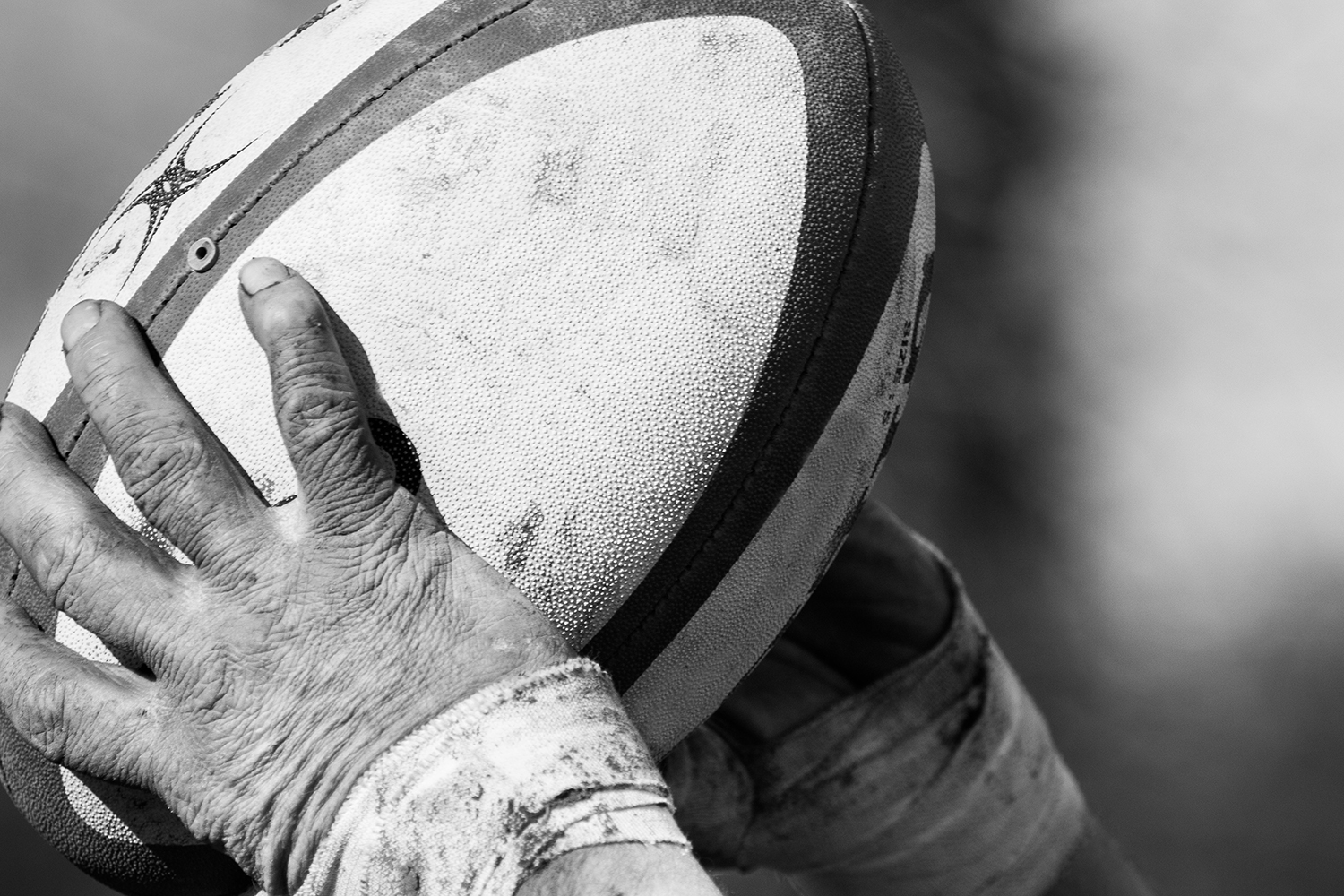 TOP 14 – La dernière ligne droite